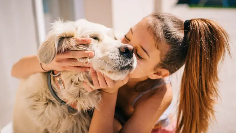 Kindern Freundlichkeit, Mitgefühl und Empathie mit Hunden beibringen