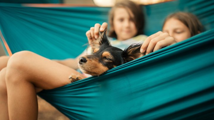 Enseigner aux enfants la gentillesse, la compassion et l'empathie avec les chiens