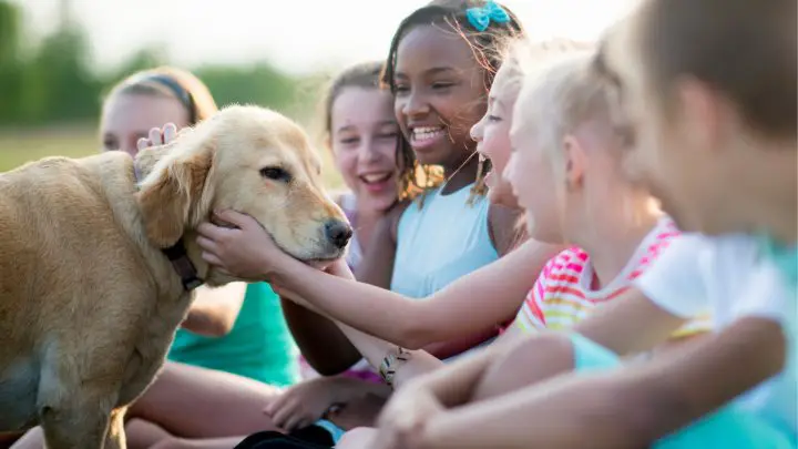 Enseigner aux enfants la gentillesse, la compassion et l'empathie avec les chiens