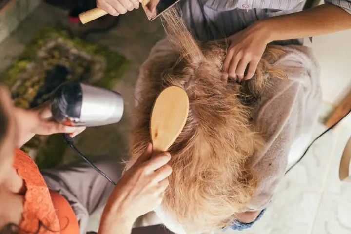 comment garder un chien calme pendant le toilettage_Walkies and Whiskers