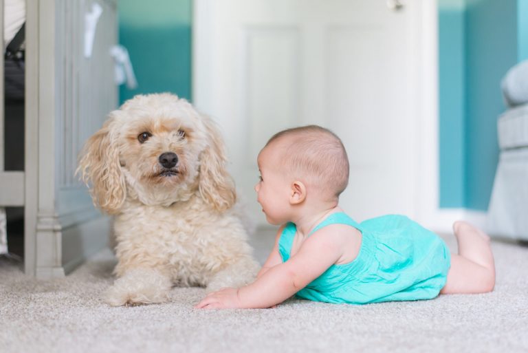 Petite fille et son chiot