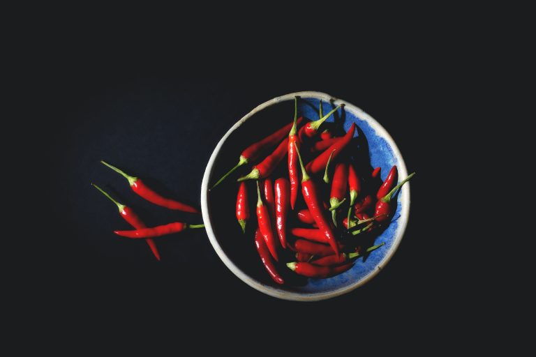 can dogs eat spicy food
