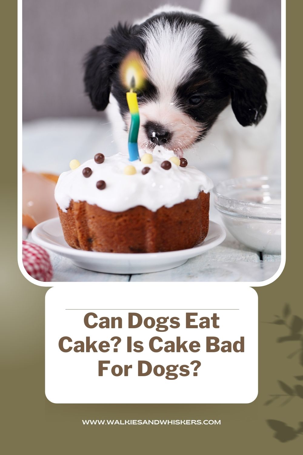 can a dog eat cake