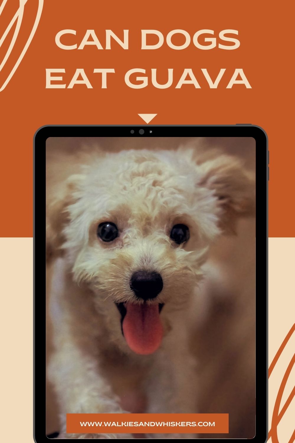 ¿Pueden los perros comer guayaba? Walkies y bigotes