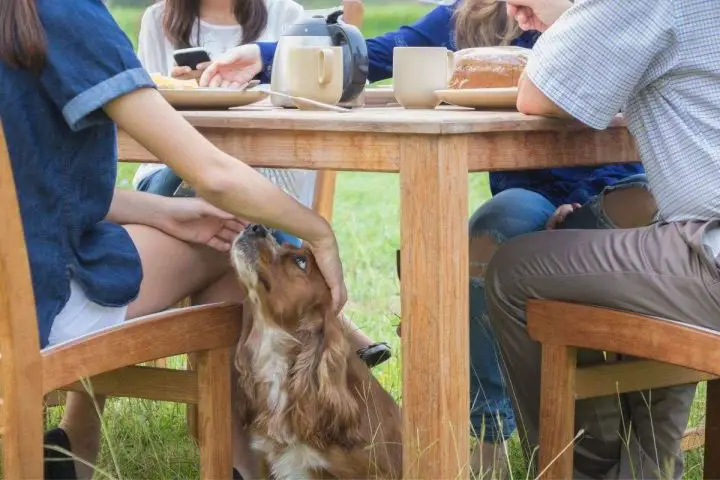 Warten auf etwas Essen