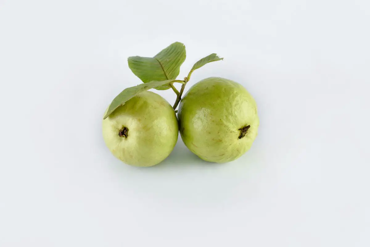a pair of guavas