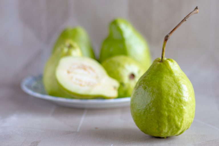 los perros pueden comer guayaba