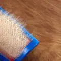 Cómo desenredar el pelo de gato