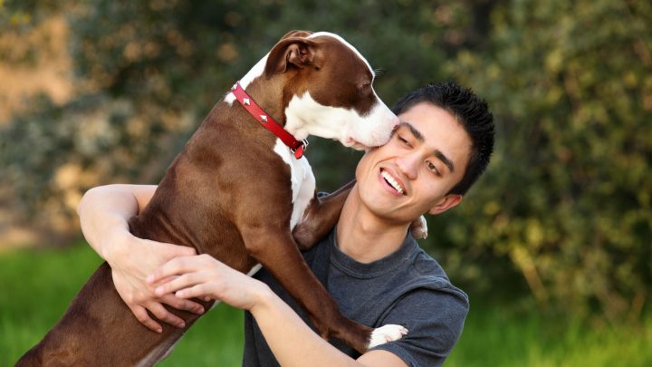 Warum knabbert mein Hund an meinem Ohr?