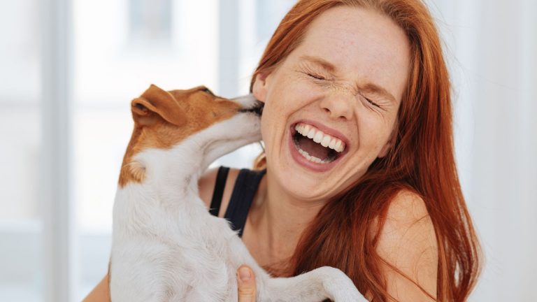 Pourquoi mon chien mordille-t-il mon oreille ?