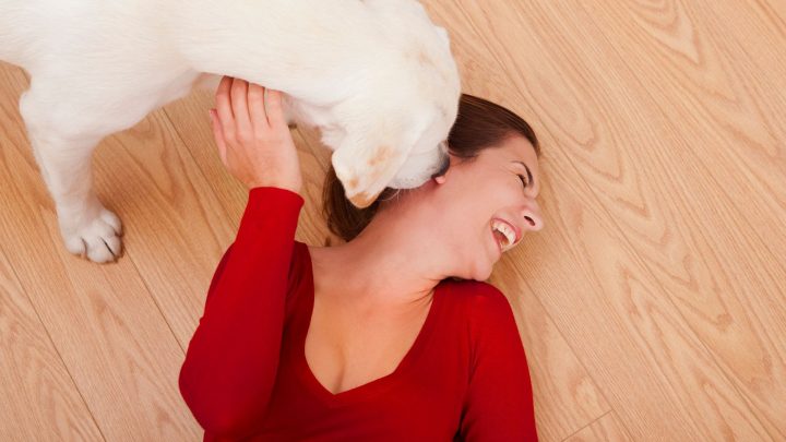 Why Does My Dog Nibble My Ear?