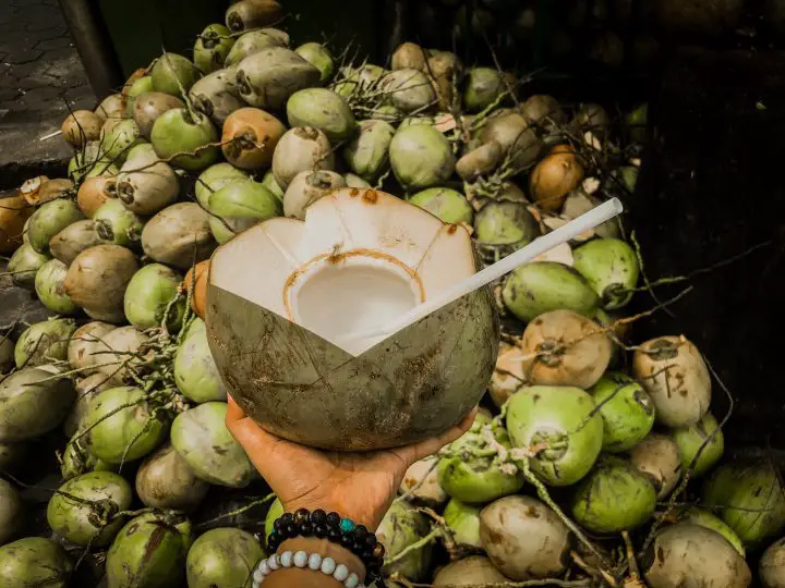Grüne Kokosnuss auf menschlicher Hand