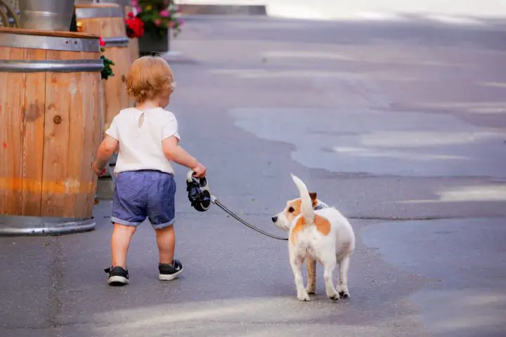 Taking the dog for a walk.