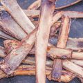 Dog Ate A Rib Bone