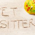 The Value Of Professional Pet Sitting Over Friends Or Family
