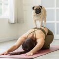 Yoga para mascotas: cómo comenzar con el yoga para perros y el yoga para gatos