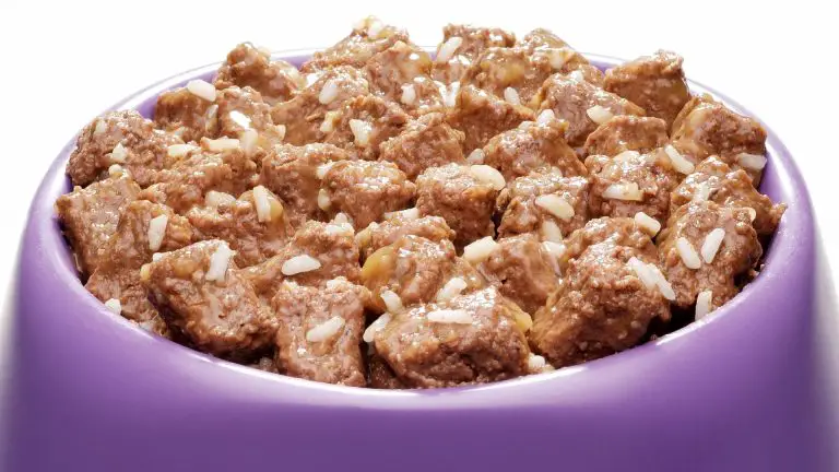 7 Homemade Crockpot Dog Food Recipes