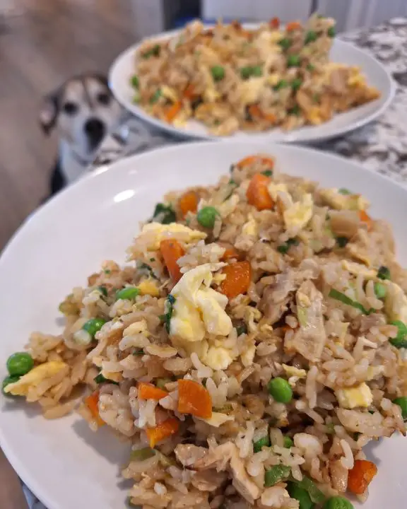 7 Homemade Crockpot Dog Food Recipes