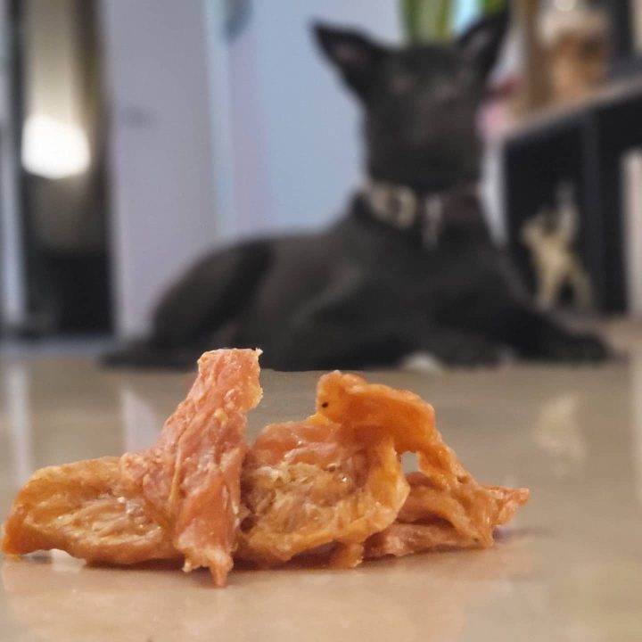 The Ultimate Guide To Homemade Grain Free Dog Treats (recipes Included!)