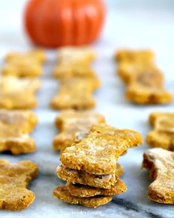 7 Homemade Crockpot Dog Food Recipes
