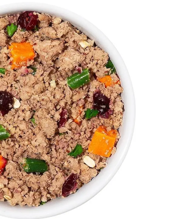 10 Vet Approved Homemade Puppy Food Recipes