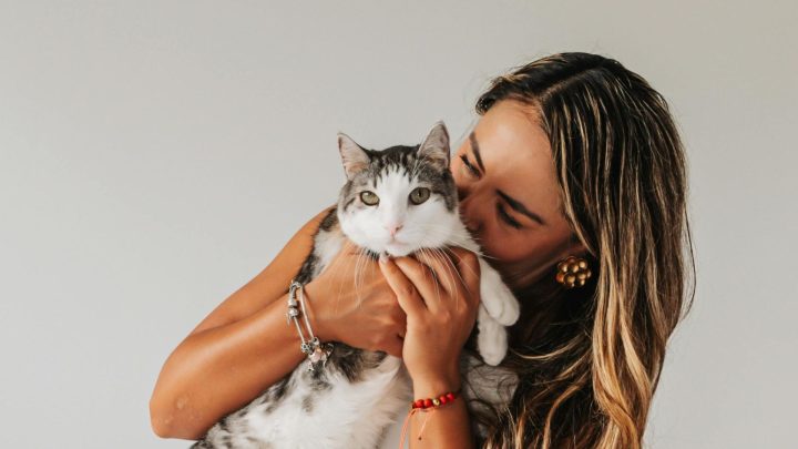 Do Cats Understand Kisses?