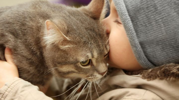 Do Cats Understand Kisses?